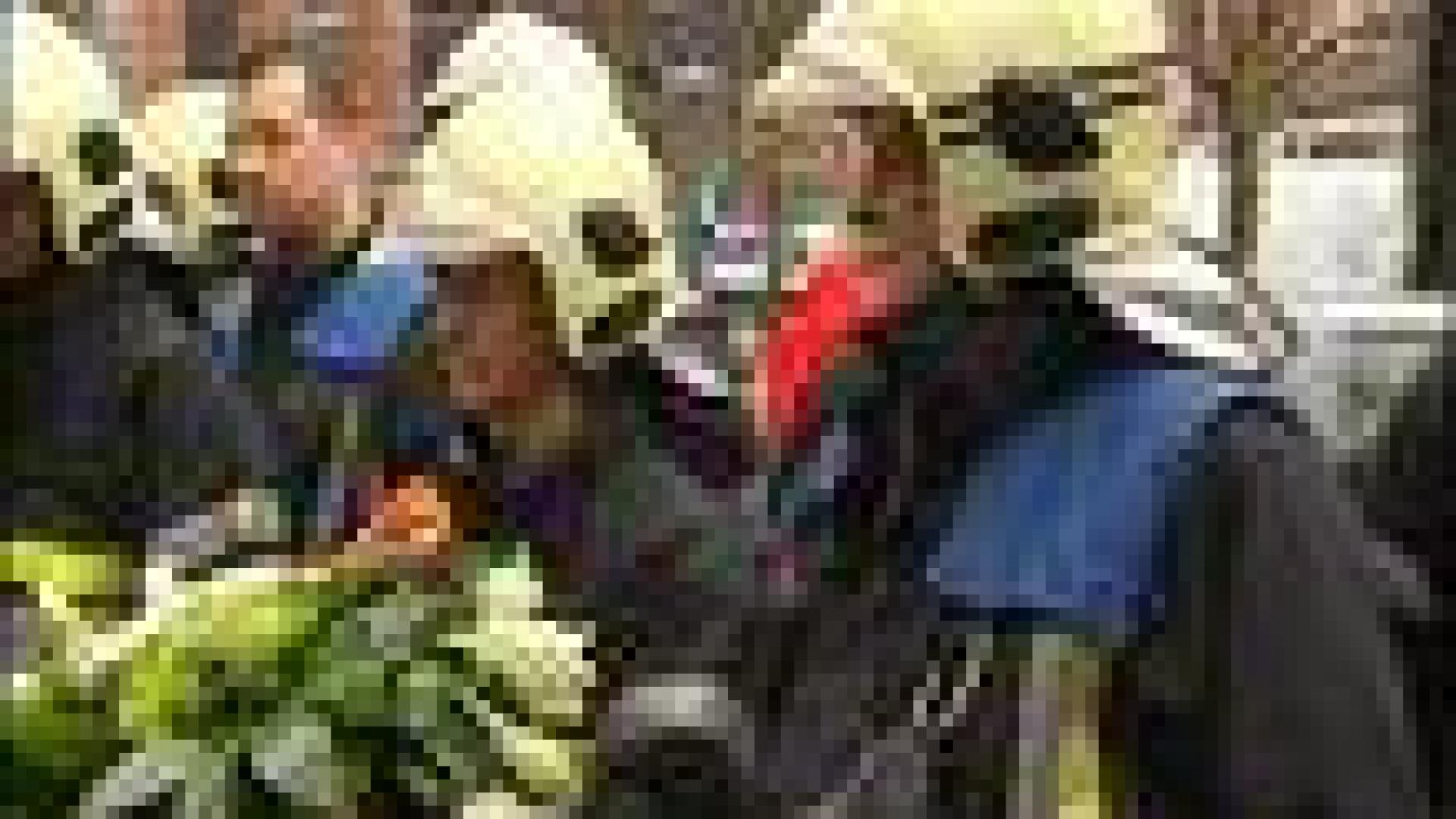 Manifestation de pompiers